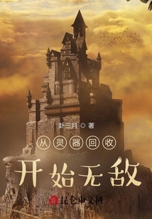 從靈器回收開始無敵