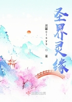 圣界灵缘在线阅读