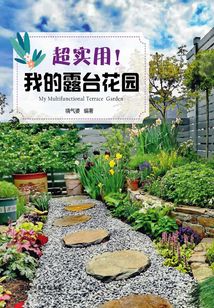 超實(shí)用！我的露臺花園