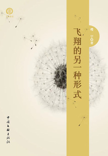 飛翔的另一種形式