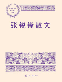 张锐锋散文