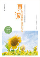 青春美文精品集萃丛书·真诚的美好系列:真诚是温暖世间的阳光在线阅读