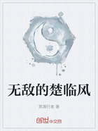 无敌的楚临风在线阅读