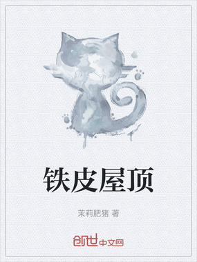 铁皮屋顶在线阅读