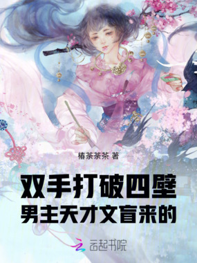 双手打破四壁男主天才文盲对半开在线阅读