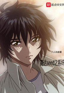 高达seed之系统