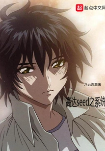 Gundam Seed System