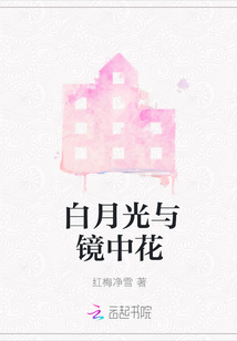 白月光與鏡中花