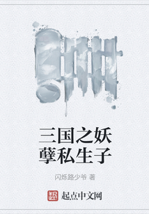 三國之妖孽私生子