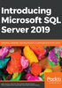 Introducing Microsoft SQL Server 2019