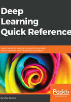 Deep Learning Quick Reference在线阅读