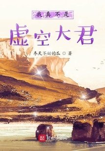 我真不是虛空大君