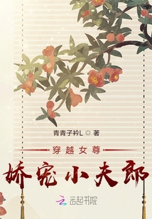 穿越女尊：嬌寵小夫郎