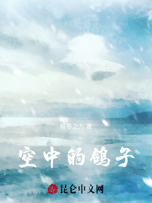 空中的鴿子
