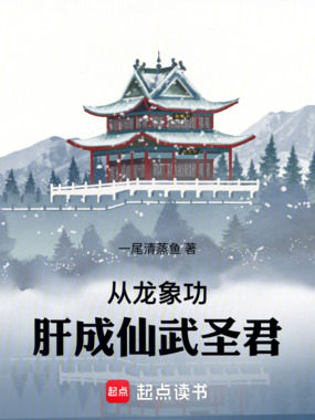 从龙象功肝成仙武圣君在线阅读