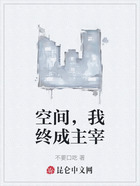空间,我终成主宰在线阅读