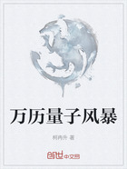 万历量子风暴在线阅读