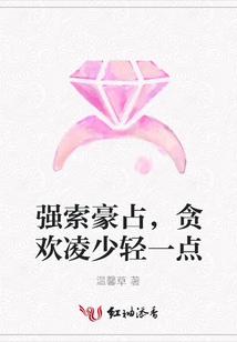 强索豪占,贪欢凌少轻一点