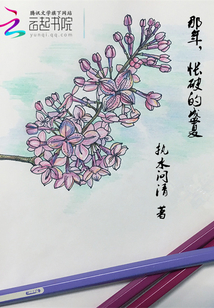 那年，怅破的盛夏