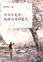 只因我爱你：此情已待相逢久