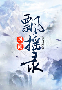 风雨飘摇录