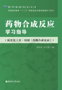 藥物合成反應學習指導（配套化工社·聞韌《藥物合成反應》）