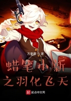 蜡笔小新之羽化飞天