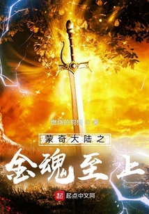 蒙奇大陸之金魂至上
