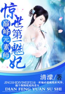 惊世第一魅妃:巅峰元素师
