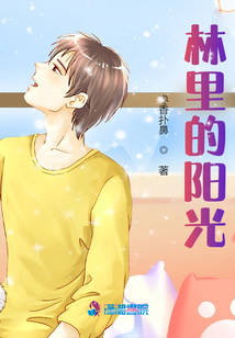 林里的陽光