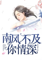 南風不及你情深在線閱讀