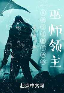 從叛逆征服開始的巫師領主
