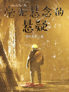毫無懸念的懸疑在線閱讀