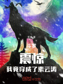 斗羅:震驚,我竟穿成了素云濤