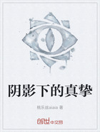 阴影下的真挚在线阅读
