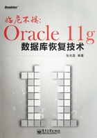 临危不惧：Oracle 11g数据库恢复技术在线阅读