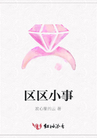 区区小事