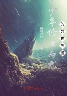 少年与神龙祭司的奇妙冒险