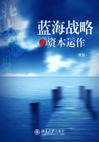 蓝海战略与资本运作