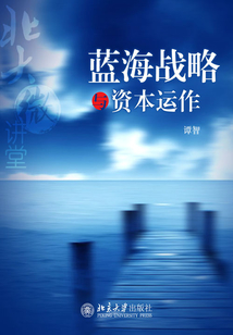 藍(lán)海戰(zhàn)略與資本運(yùn)作