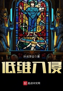 低維入侵