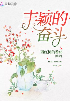 丰颖的奋斗在线阅读