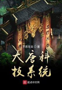 大唐科技系統