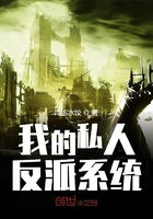 我的私人反派系統在線閱讀
