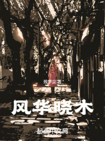 风华晓木