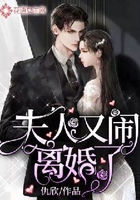 夫人又闹离婚了在线阅读