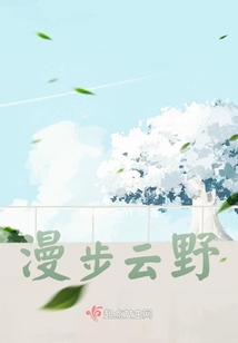 漫步云野