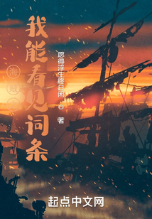 海賊之我能看見詞條