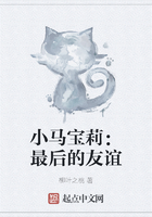 小马宝莉:最后的友谊