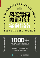 风险导向内部审计实务指南在线阅读